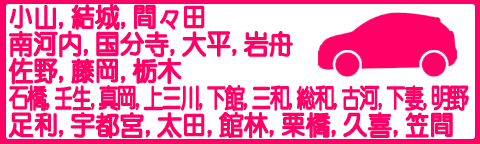 小山、結城、間々田、南河内、国分寺、大平、岩舟、佐野、藤岡、宇都宮、石橋、壬生、下館、三和、総和、古河、他